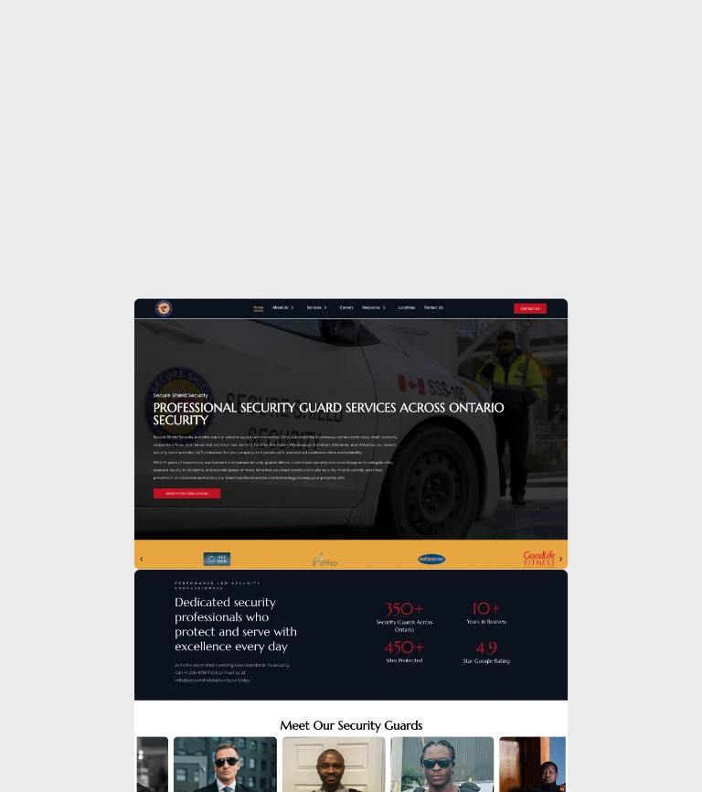 Dr. David Mok project preview